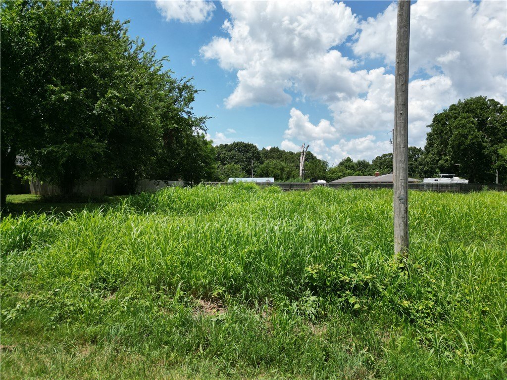 Picture 4