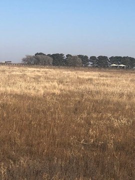 Land, New Deal, TX