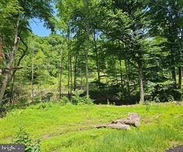 138 Acres Wooded Land