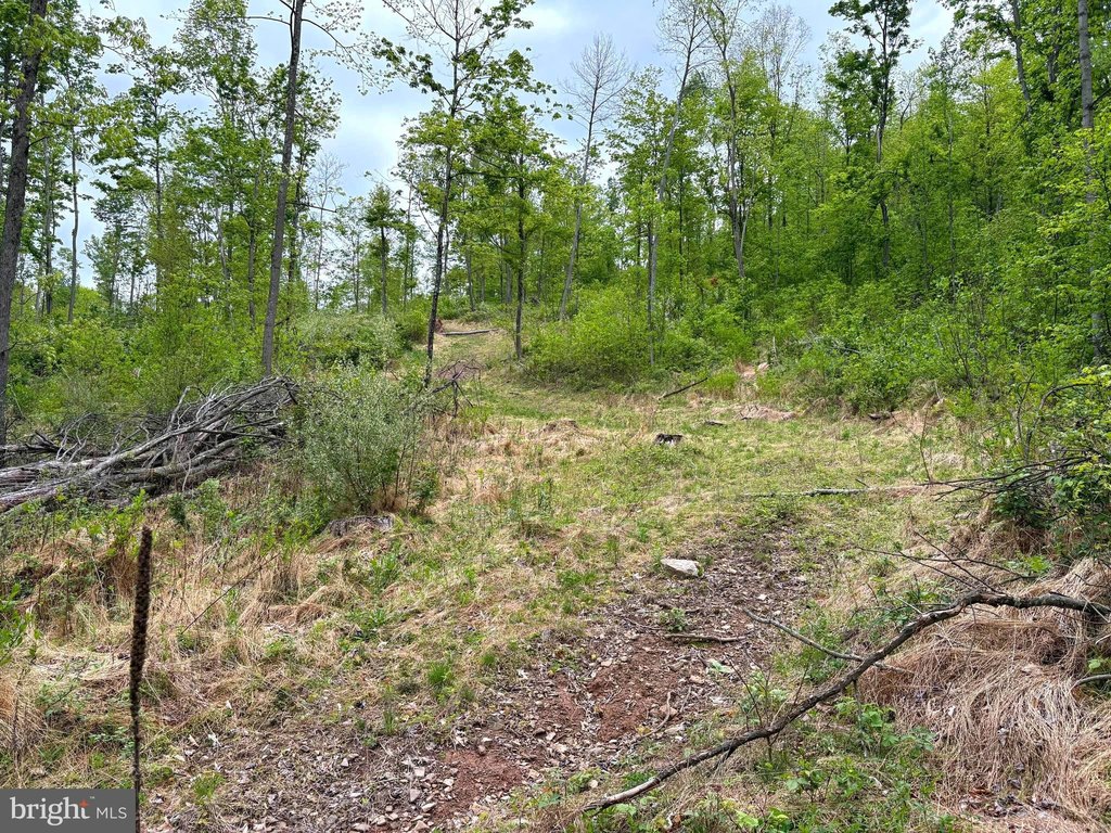 Picture 3