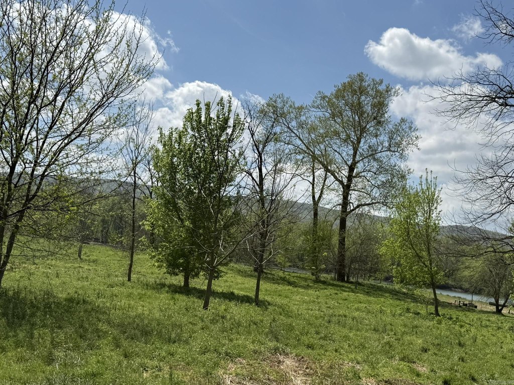Picture 46