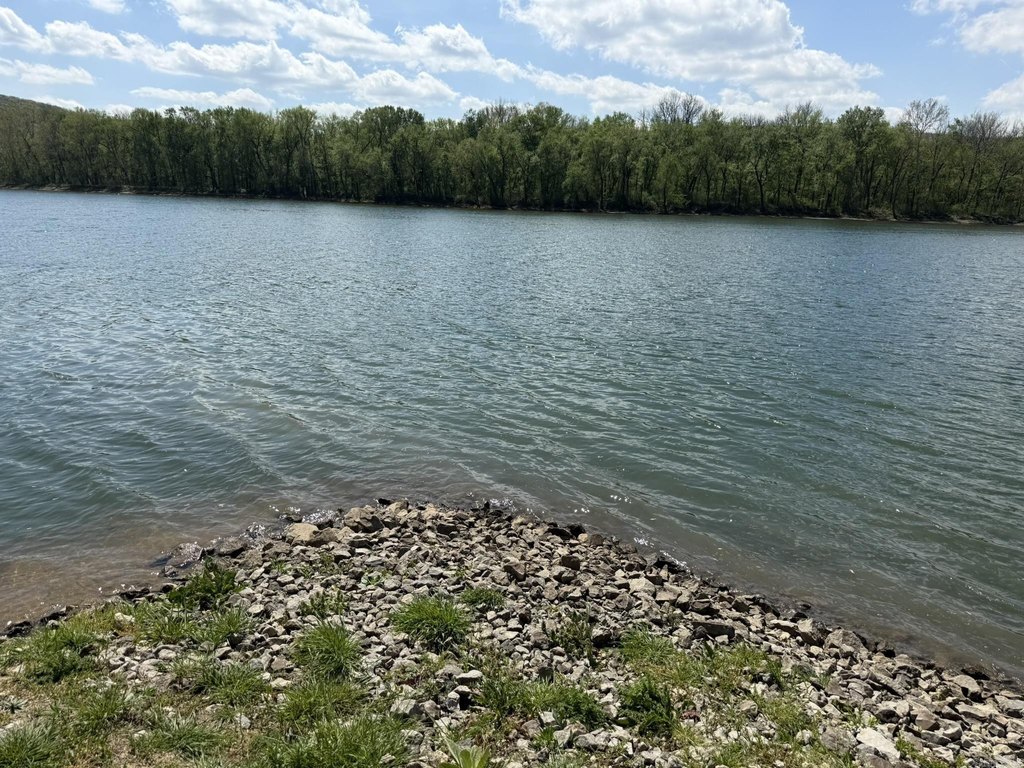 Picture 36