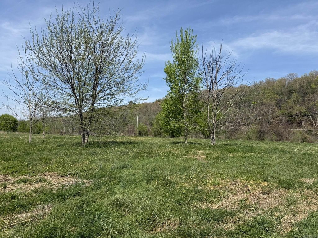Picture 28