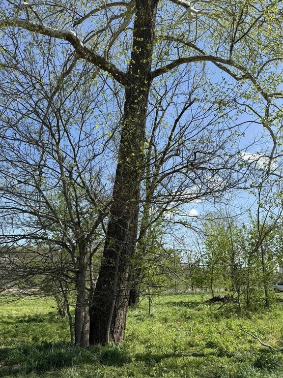 Picture 16