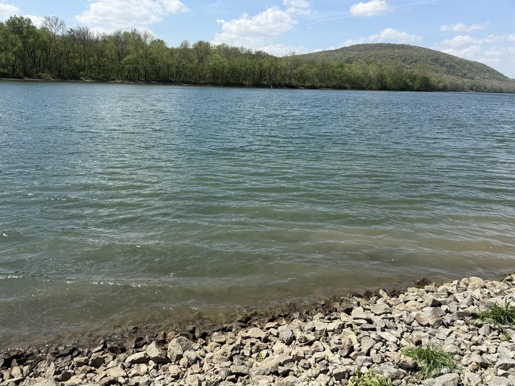Picture 39