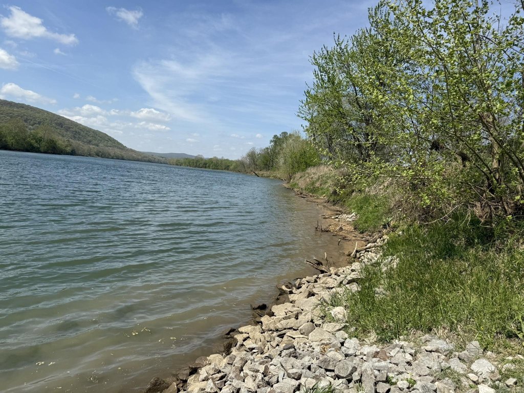 Picture 41
