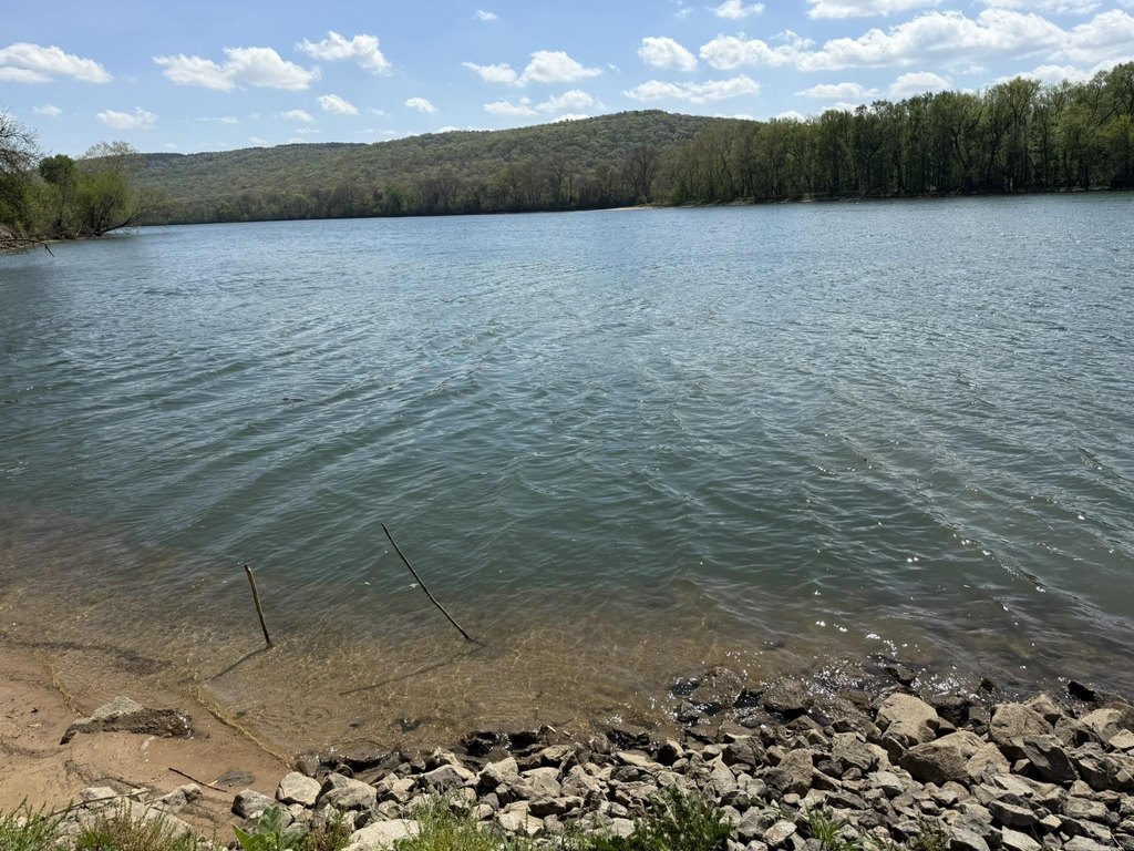 Picture 40