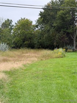 Land, Grand Island, NY