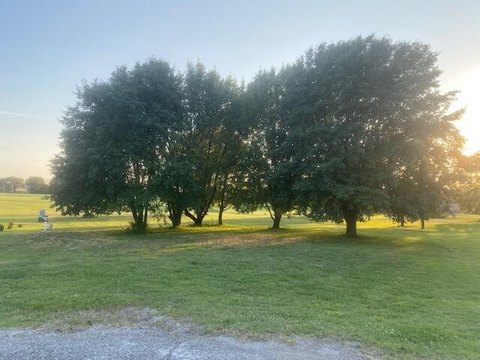 Residential Lot in Golf Community