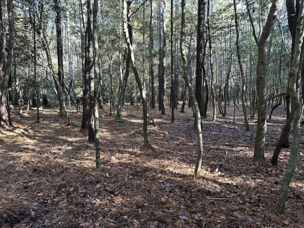 Picture 14