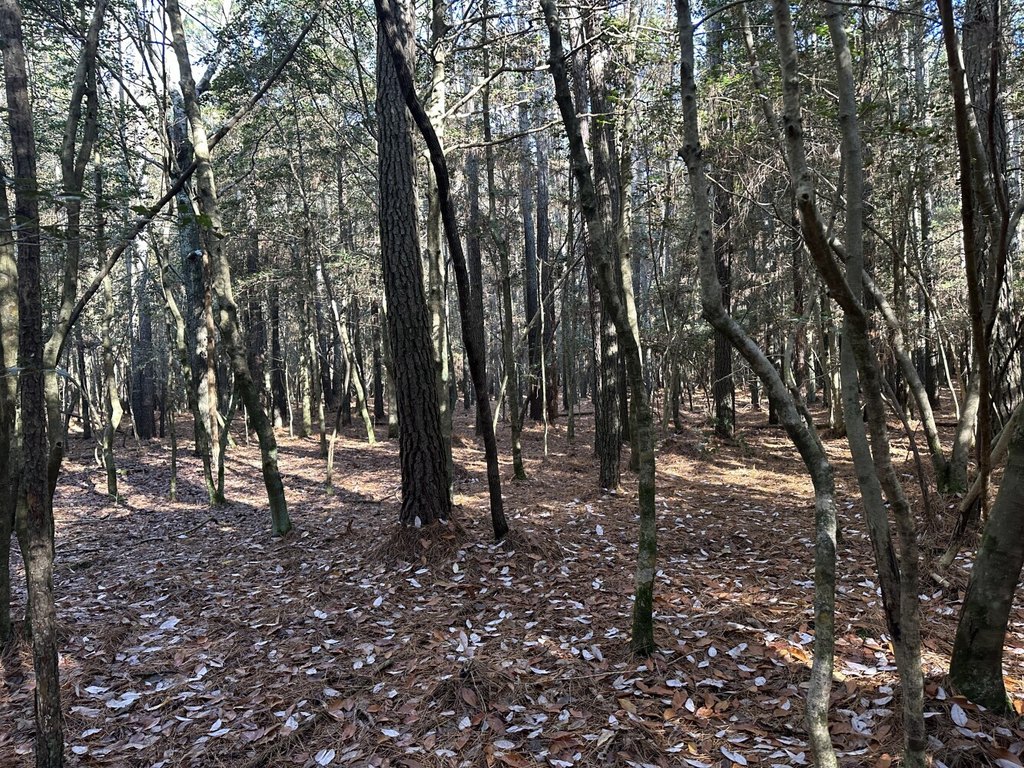 Picture 12
