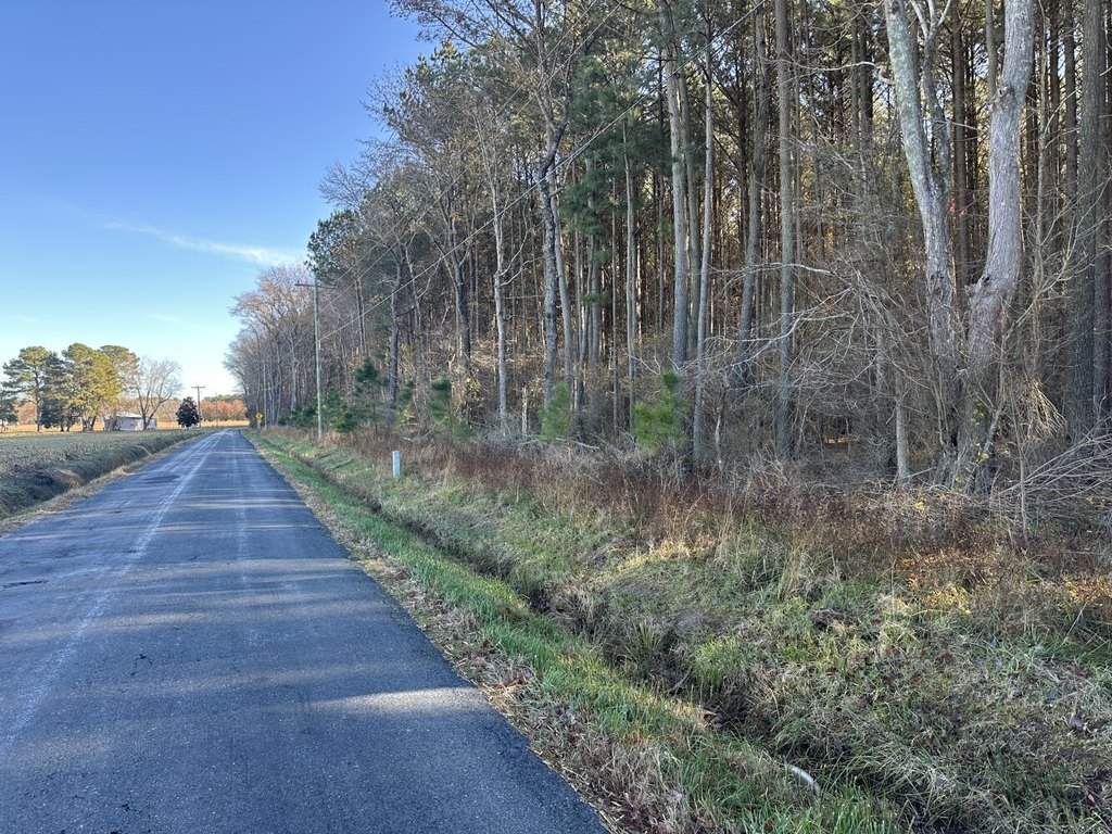 Picture 23
