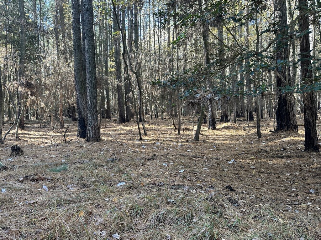 Picture 21