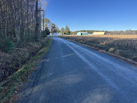 Wooded Hunting Land with Mature Timber