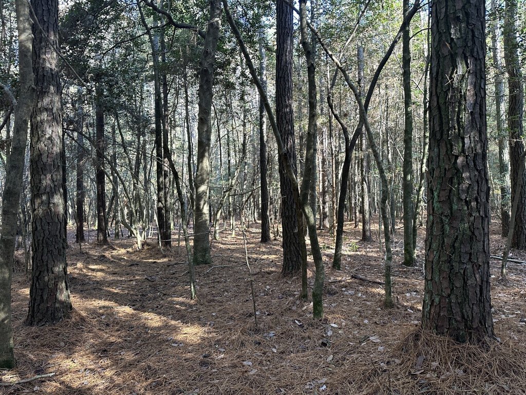 Picture 13