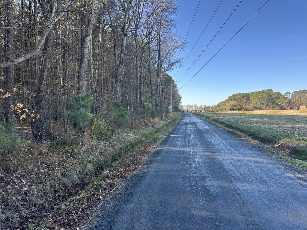Picture 25