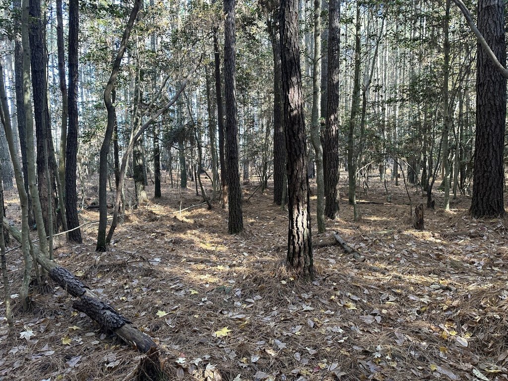 Picture 16