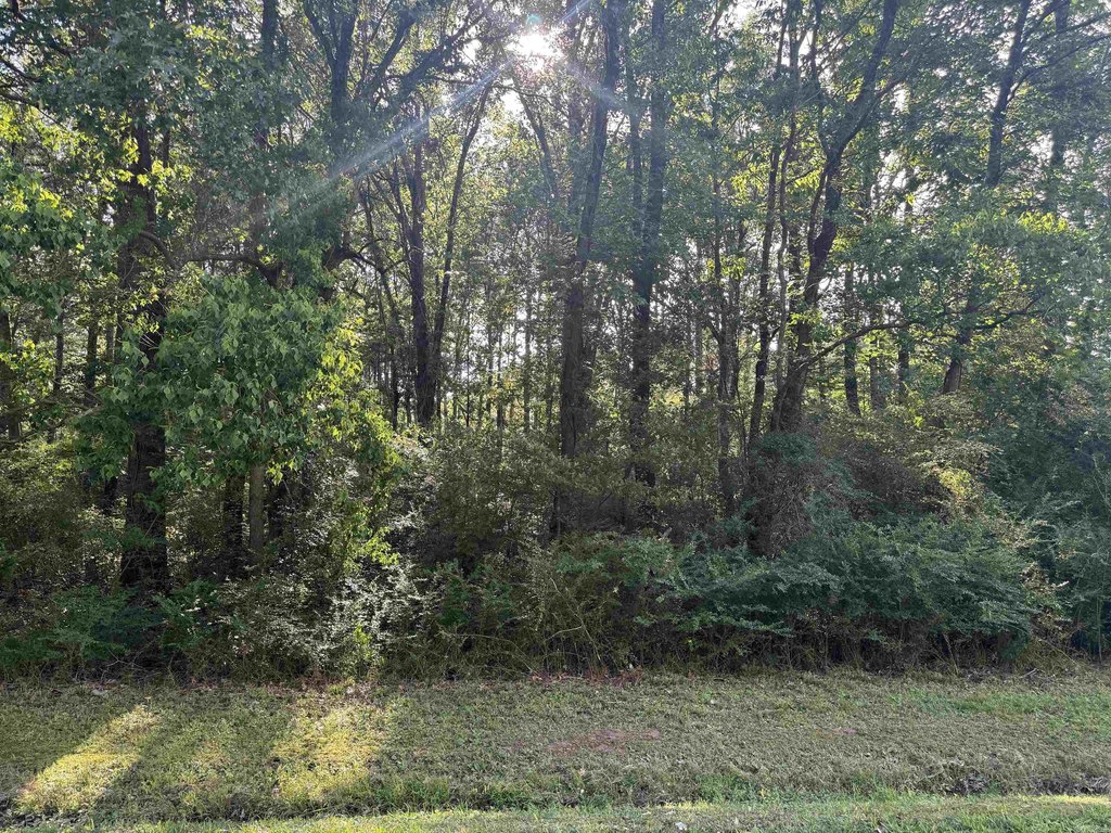 Picture 8