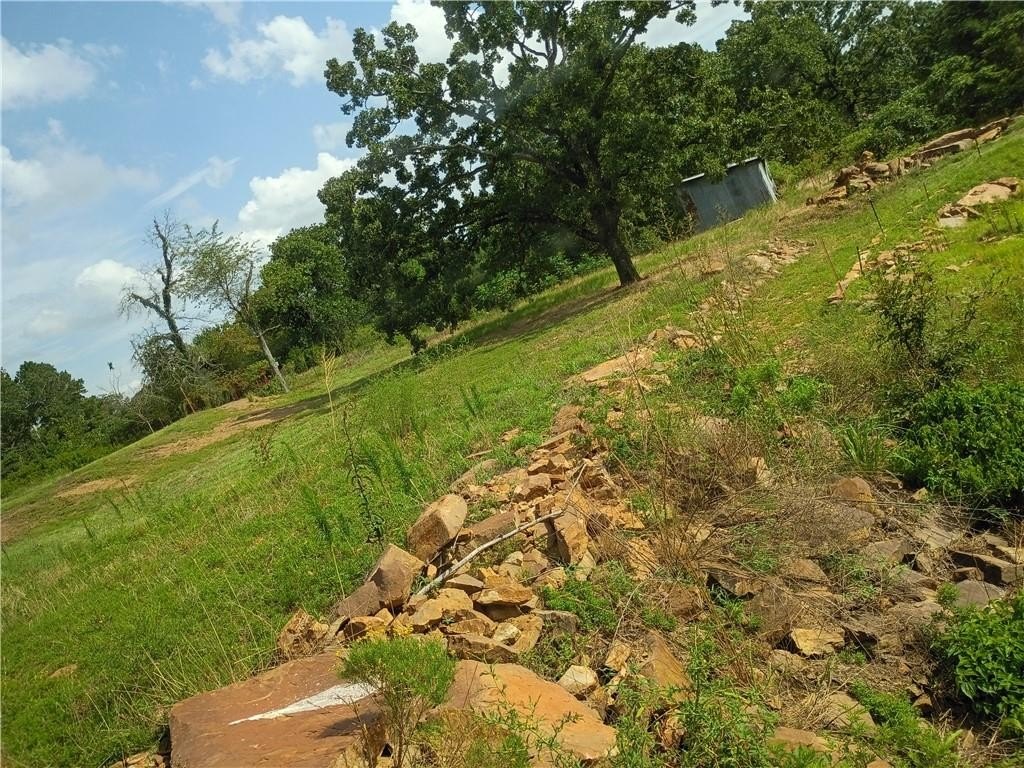 Picture 17