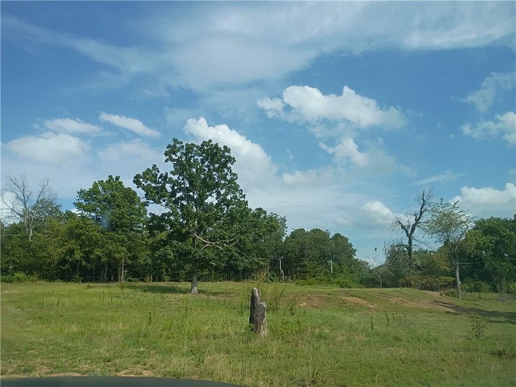 Picture 16