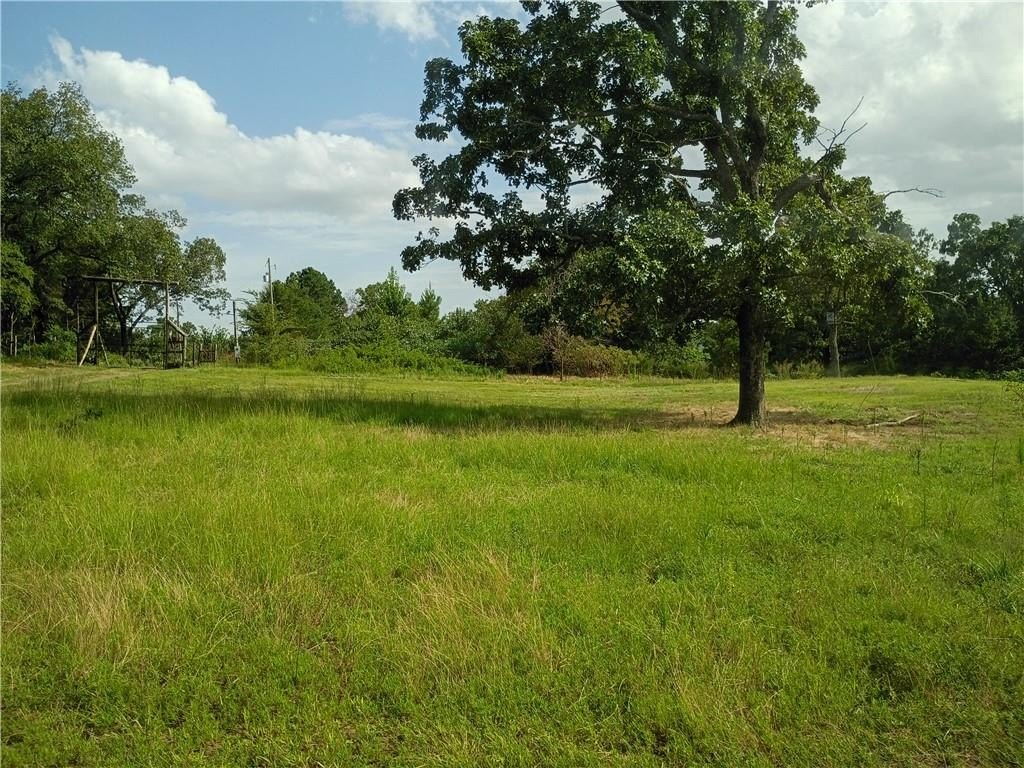 Picture 13