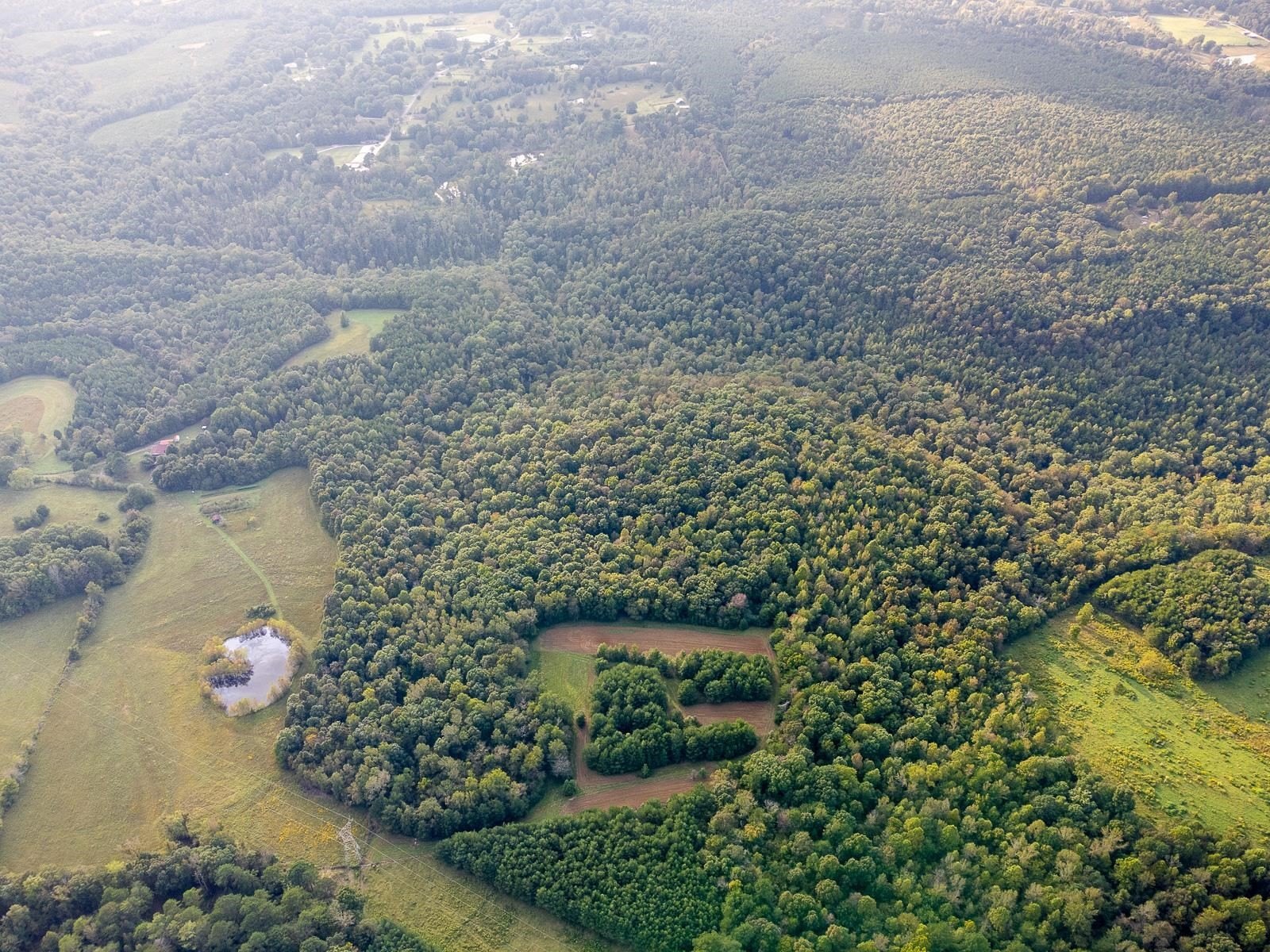 80 Acres on Underwood Mountain