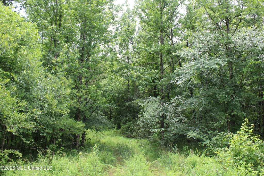 Picture 25