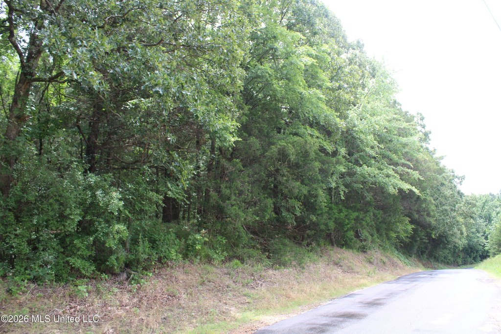 Picture 19