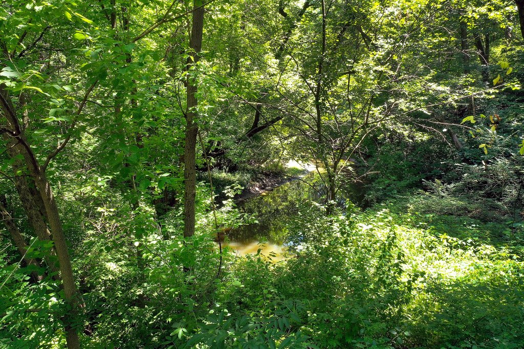 Picture 5