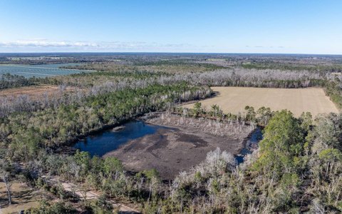Hunting Land Tract with Mixed Cover