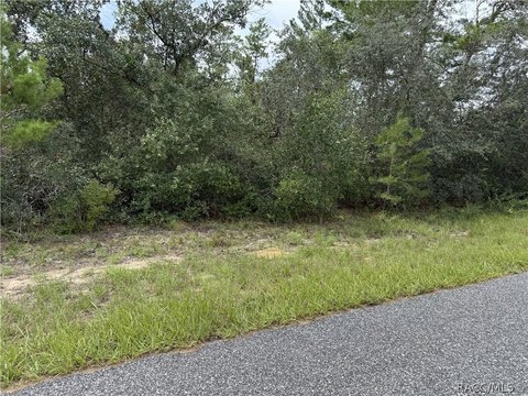 Land, Citrus Springs, FL