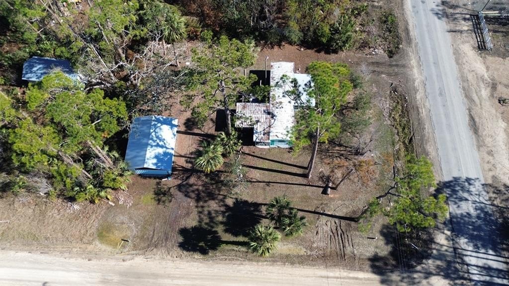Quarter-Acre Lot in Steinhatchee, FL