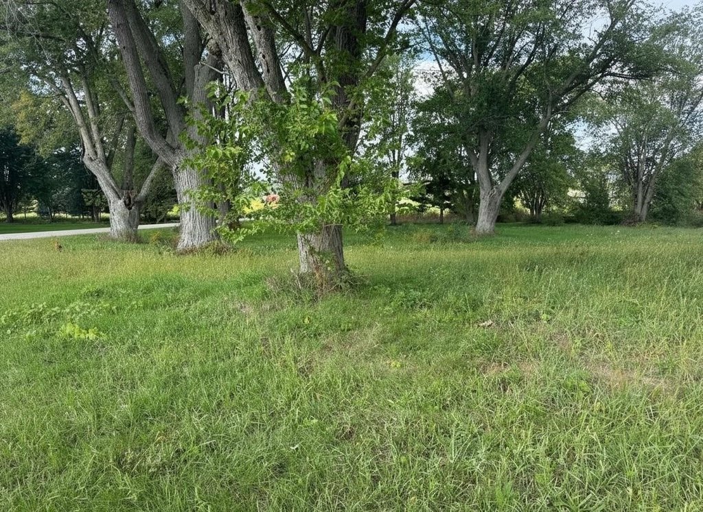 Picture 4