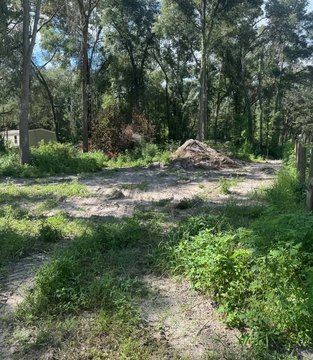 LAND - Trenton, FL