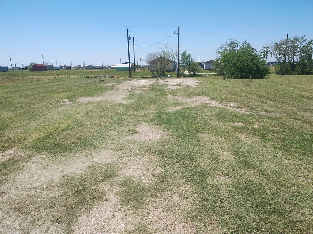 Picture 6