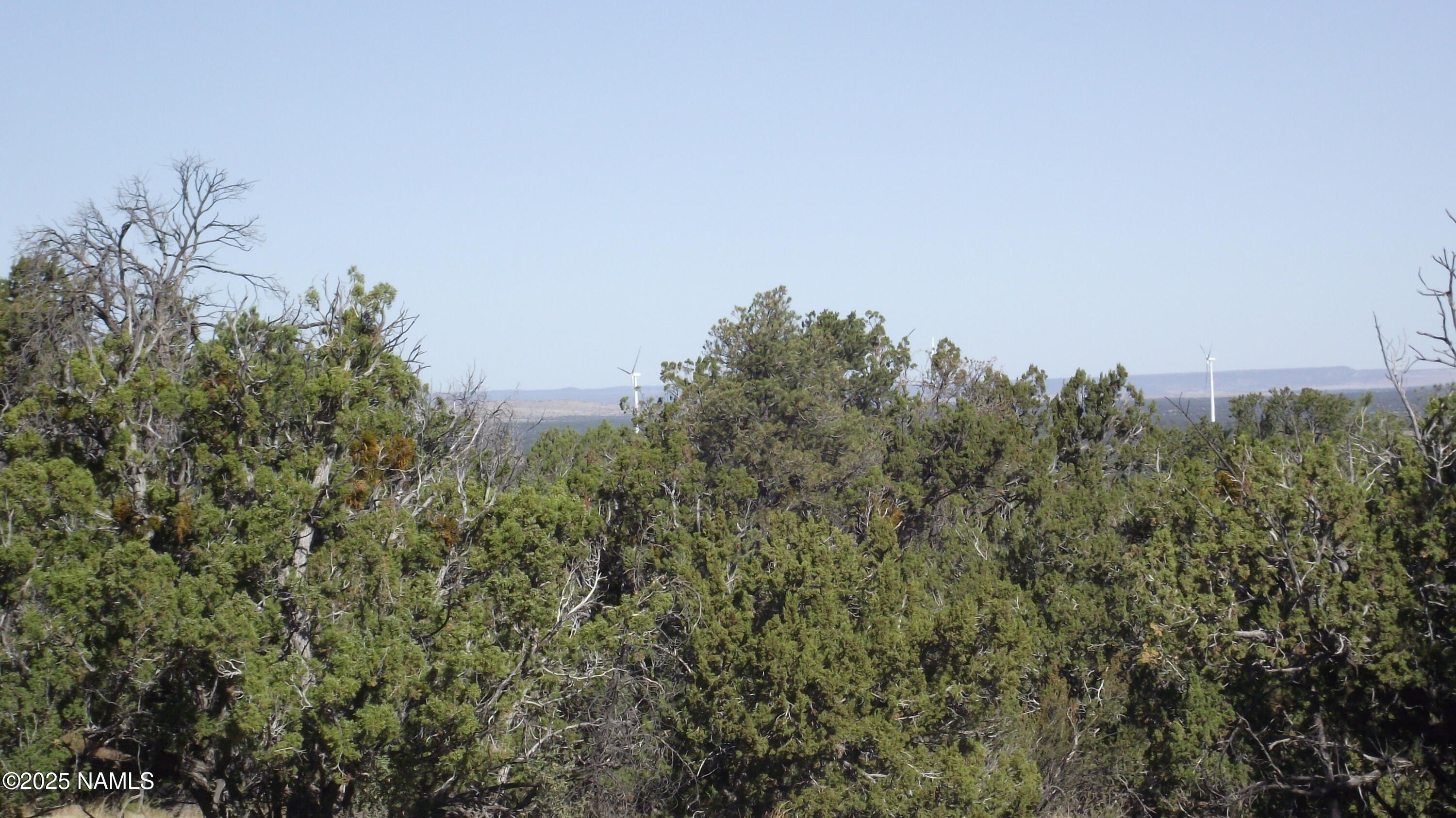 Land in Williams, Arizona