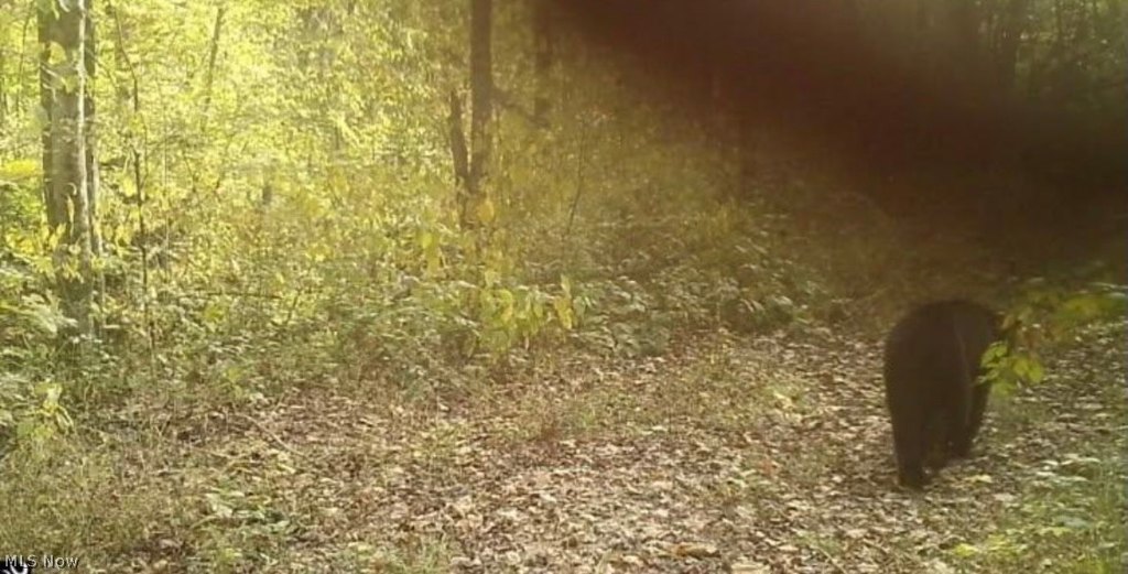 Picture 47