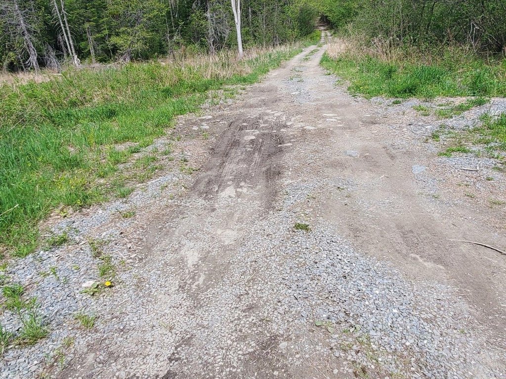 Picture 30