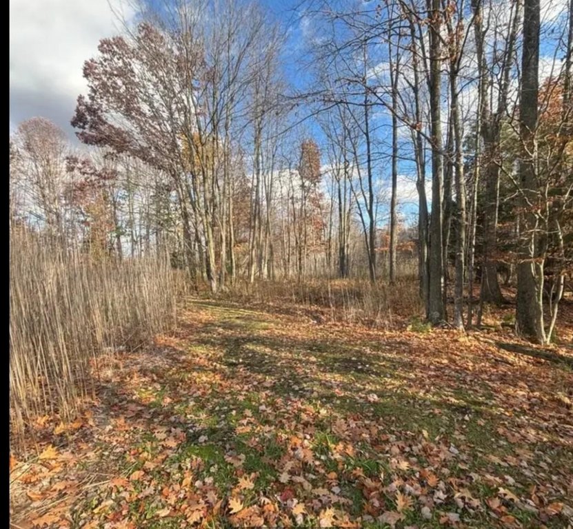 Picture 3