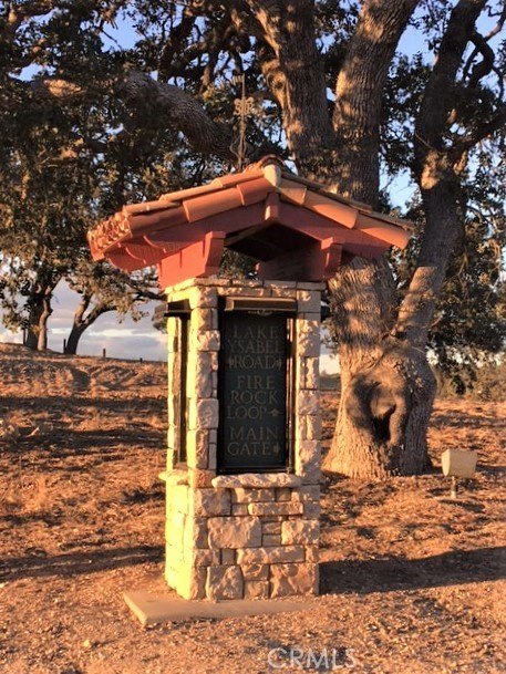 Picture 3