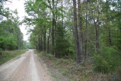 30.82 Acres Inside City Limits