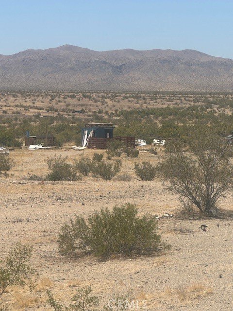 Picture 3