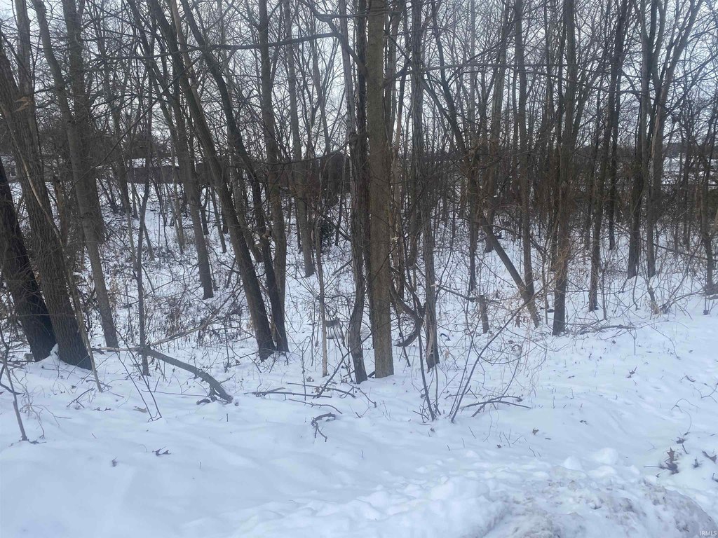 Picture 4