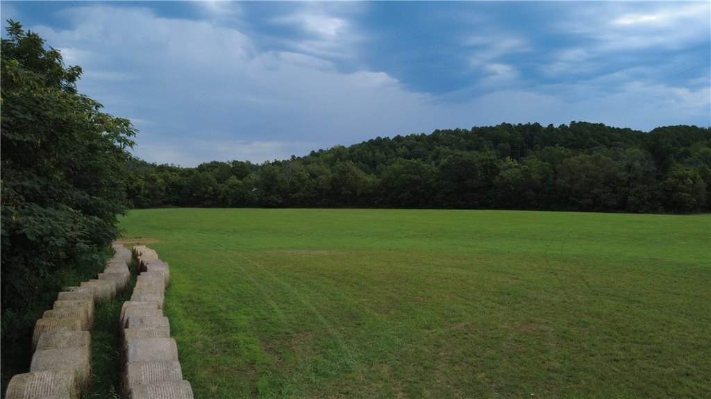 Picture 25