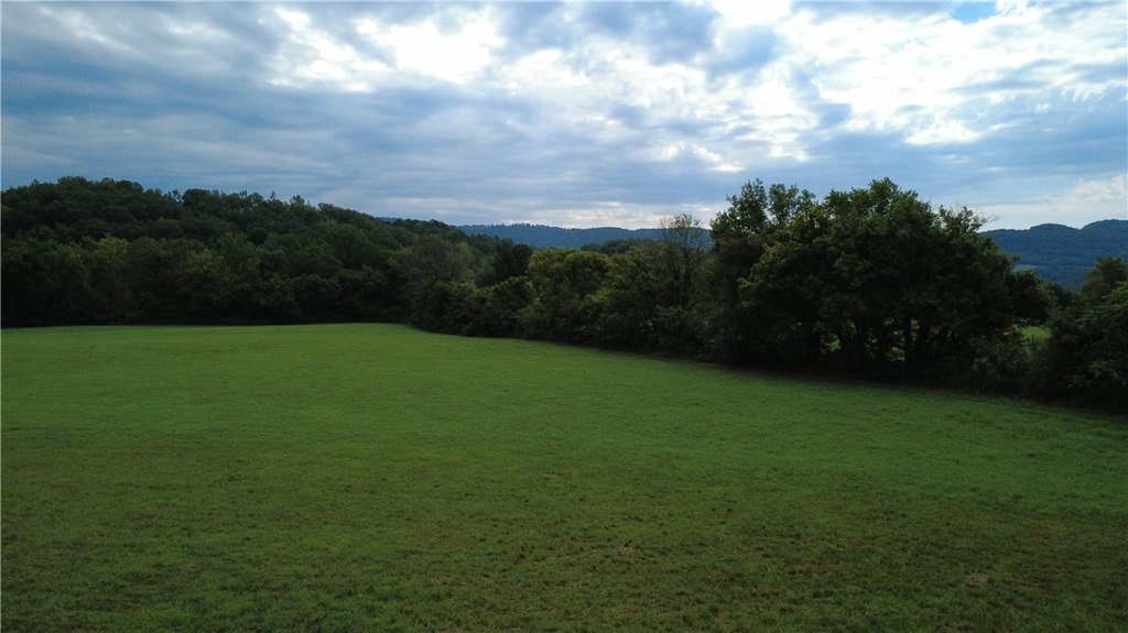 Picture 26