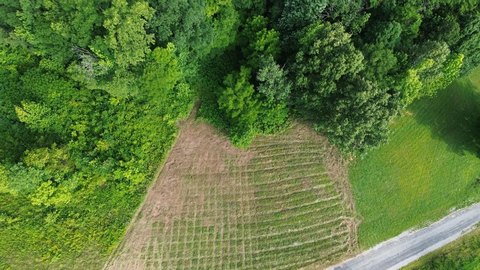 LAND - Smithville, TN