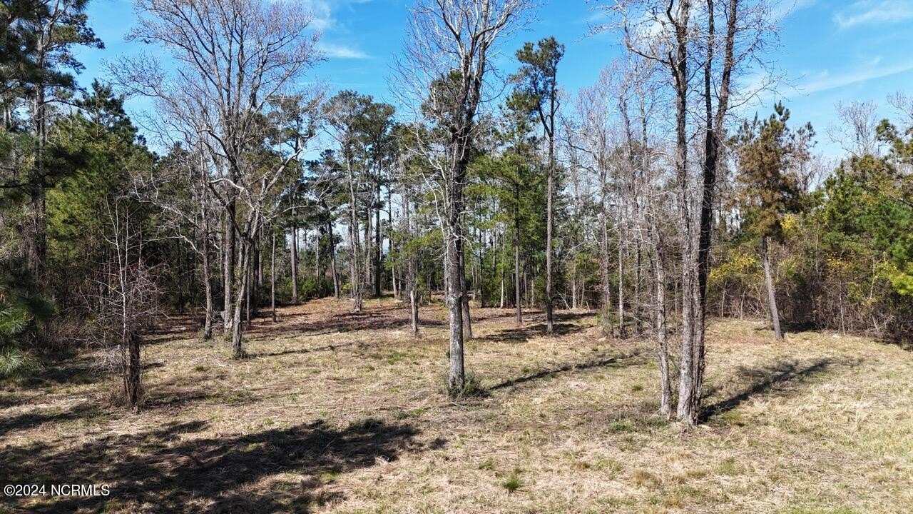 Beaufort Land Near Neuse River