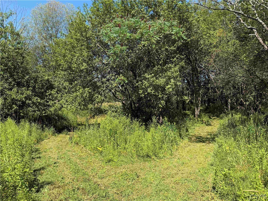 Picture 24