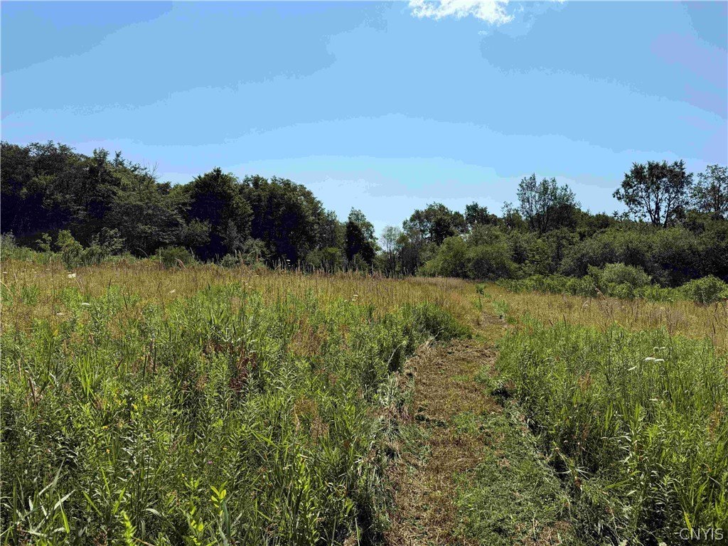 Picture 22