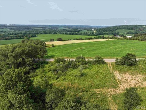 LAND - South Dayton, NY